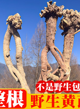 纯野生黄芪整根特级中药材