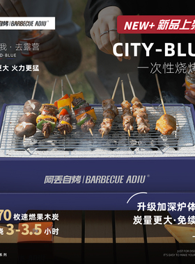 阿丢自烤户外烧烤炉一次性烧烤炉户外烧烤架便携露营碳烤炉