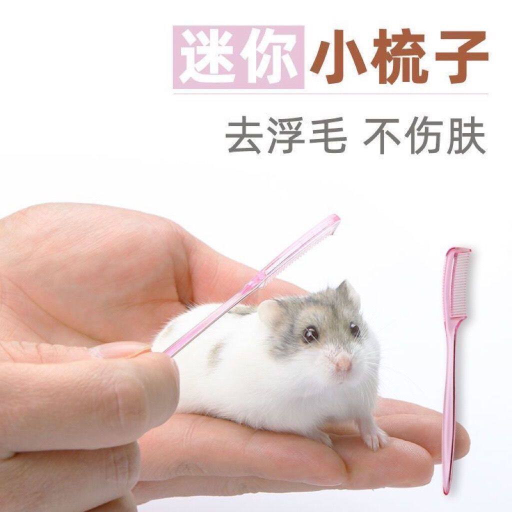 仓鼠迷你小梳子开结长毛金丝熊