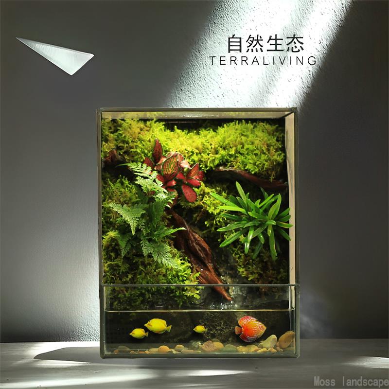 桌面微景观生态缸苔藓造景植物盆景盆栽全套雨林缸成品养鱼缸摆件