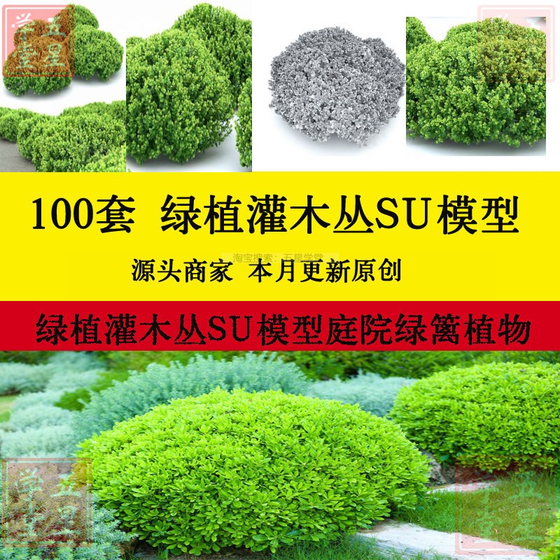 绿植灌木丛SU模型库庭院绿篱植物景观墙素材常用常绿花卉效果图