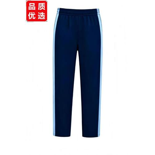 东莞新款校服中小学生统