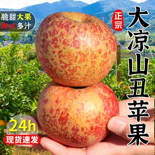 包邮 大凉山丑苹果新鲜水果当季 整箱10斤 四川盐源红富士冰糖心苹果