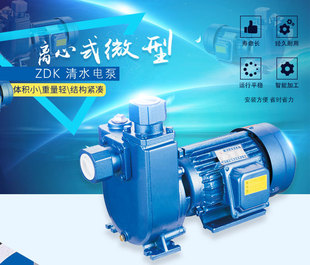 DBZ离心自吸高压泵220V380V家用大流量增压泵农用灌溉喷灌泵