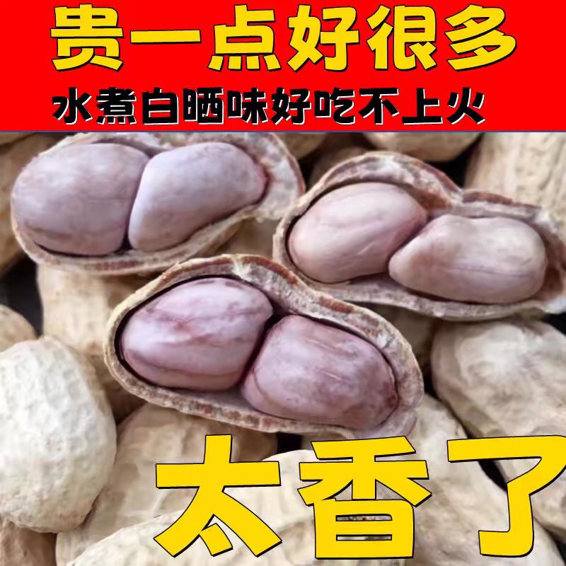 水煮花生龙岩花生蒜香花生五香盐水花生水煮白晒花生盐干花生零食