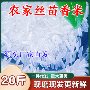 2025年绿宝贡保留大米原始风味​当季丝苗长粒香