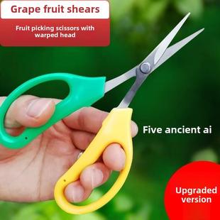 德国修果剪刀阳光玫瑰葡萄蔬果专用剪刀翘头疏果修枝水果稀果剪