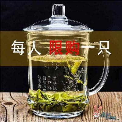 玻璃杯家用喝水杯子泡茶杯办公室有盖男士女水杯带把带盖把手透明