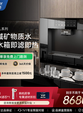 耐沃特L3/L4嵌入式直饮机0阻垢家用饮水机内嵌冷热净水器