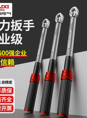 德力西电气扭力扳手高精度快速可调节扭力扭矩扳手火花塞力矩扳手