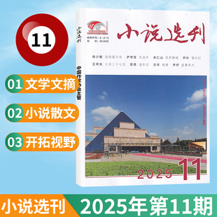 现货 1月 文摘文学阅读书籍中国作家协会主管书籍期刊 小说选刊杂志2025年11 多期可选