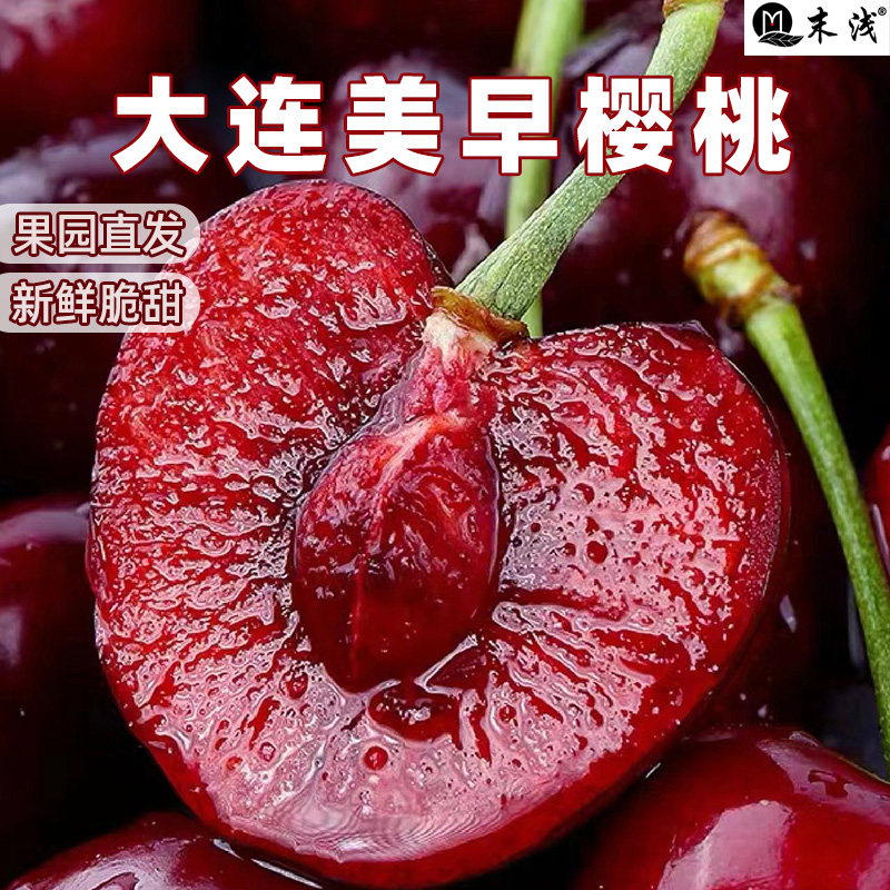 【产地直发】大连美早大樱桃新鲜水果国产车厘子应当季现摘顺丰