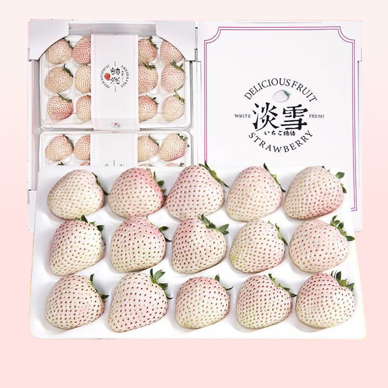 丹东草莓淡雪白草莓新鲜水果礼盒装白雪公主奶油草莓新年礼物