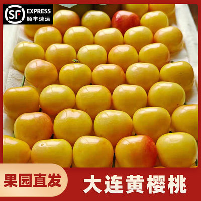 【产地直发】黄樱桃大连大樱桃佳红新鲜水果应季国产黄车现摘