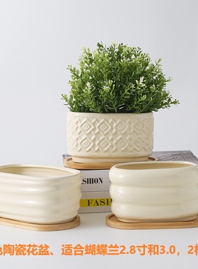 蕨类花盆陶瓷奶黄色椭圆陶瓷小花盆窗台家用素烧长方形多肉盆