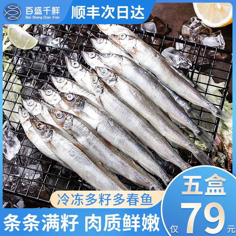 柳叶鱼shishamo价格 柳叶鱼shishamo图片 星期三 柳叶鱼shishamo价格 柳叶鱼shishamo图片 星期三