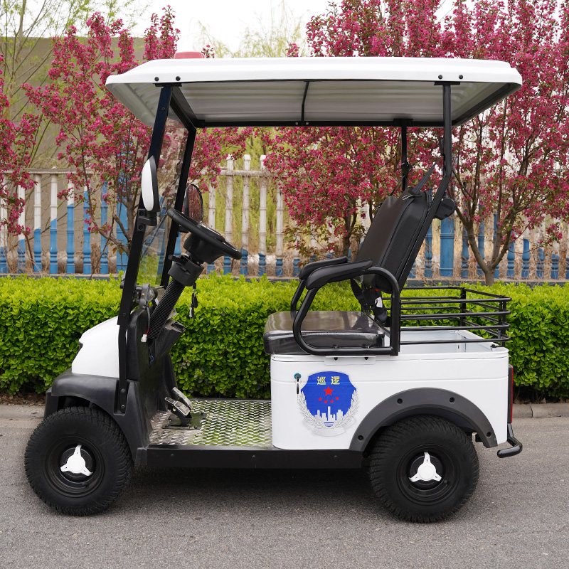 小巴士E600越野老年人代步车四轮观光车双人接送孩子小型高尔夫