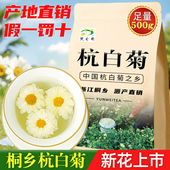 菊花茶正宗桐乡特产级杭白菊新胎菊花散装 浙江杭州贡菊官方旗舰店