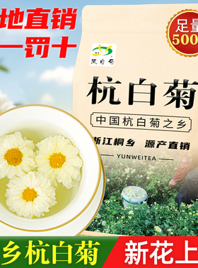 菊花茶正宗桐乡特产级杭白菊新胎菊花散装浙江杭州贡菊官方旗舰店