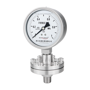 隔膜压力表YTP100BF/ML  耐腐蚀钽膜片衬四氟螺纹4分DN15 M20*1.5