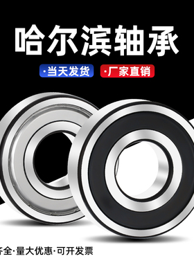 哈尔滨轴承型号大全6200 6201 6202 6203 6204 6205 6206 207RS Z