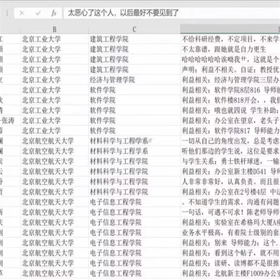 真实导师评价表 +多套资料+镜像网站