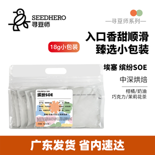 寻豆师 咖啡豆小包288g 氮冷锁鲜埃塞阿拉比卡豆缤纷soe中深烘美式