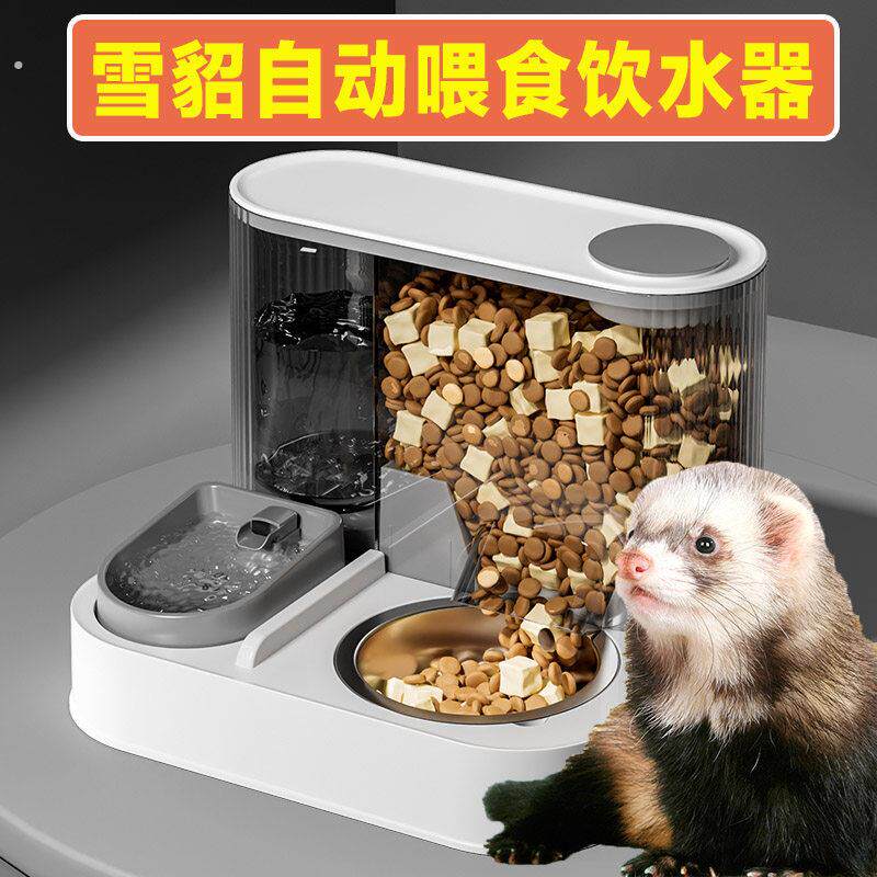 宠物雪貂喂食器自动饮水器大容量防打翻安格鲁貂食盆饭盒水壶用品