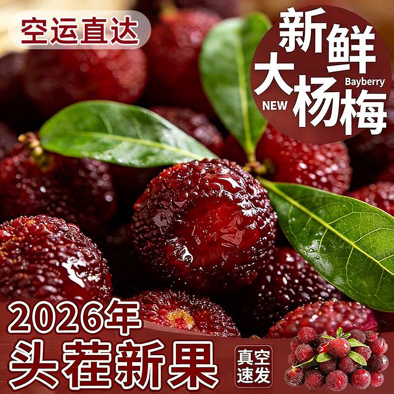 福建浮宫杨梅新鲜杨梅孕妇水果当季早梅现货现摘2-4斤装顺丰包邮