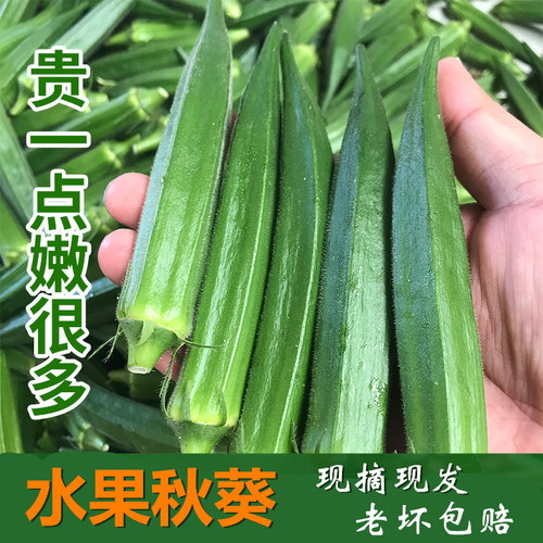 鲜嫩秋葵2-4斤装现摘顺丰包邮