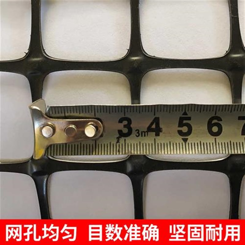 土工格栅塑料小孔网格防护网养鸡围栏拦鸡养殖栅栏隔离护栏网家用