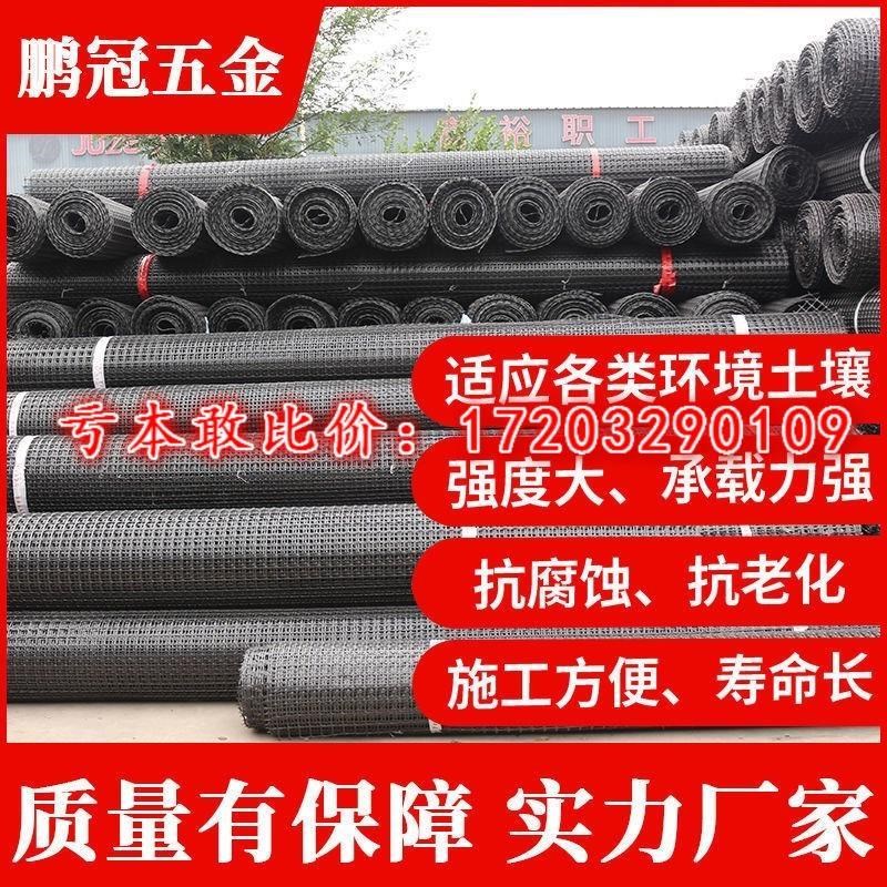 土工格栅网养鸡养鸭塑料养殖网围栏网防护隔离网动物防逃网玉米网