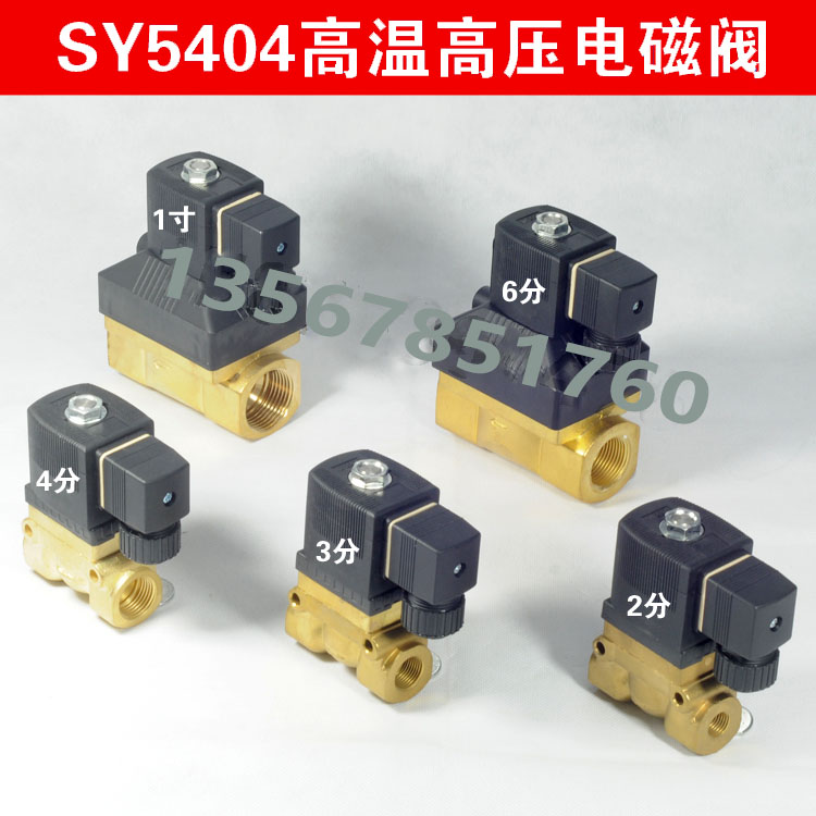 5MPA SY5404-04 4分高压电磁阀 2分 1寸 50KG气阀 220V 24V 12V