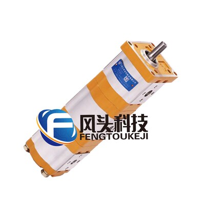 供应合肥长源HCHC双联齿轮泵CBWSL-E320-E308-E306液压油泵