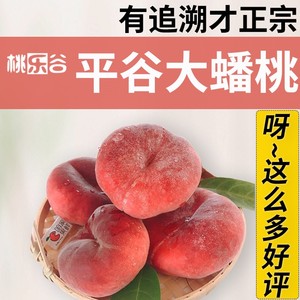 桃乐谷平谷蟠桃大桃甜软多汁3斤5斤装北京平谷水蜜桃平谷大桃