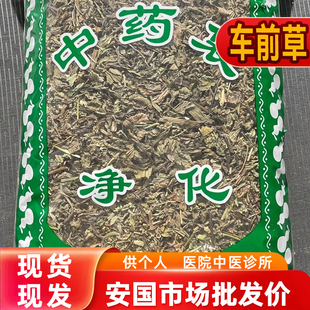 安国中药材市场批 发车前草 正品车前草干车前草茶新货1000克包邮