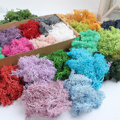 花装 永生花苔藓 造景道具配花盆景diy干花相框植物画材料盒装 饰品