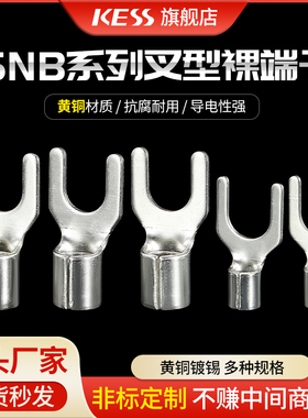 SNB1.25/3.5/5.5-3-4-5-6-8冷压接线裸端头开口铜鼻子线耳朵