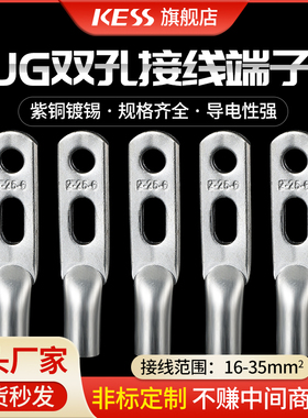 双孔线鼻子 JG2双孔铜接线端子 10-70平方双孔铜线耳原装正品