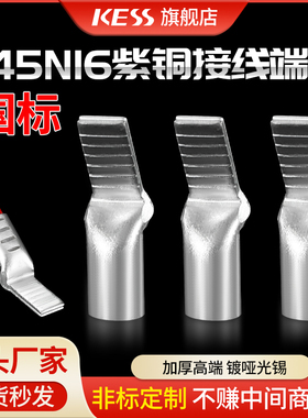 国标加厚高端紫铜冷压铜鼻子C45N4/6/10/16/25/35/50鸭嘴线耳针型