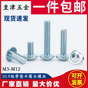 镀锌10.9级带垫半圆头内六角螺丝带垫盘头螺栓圆杯M3M4M5M6M8M10