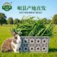 兔粮提摩西草干草荷兰猪兔草500克饲草兔饲料龙猫粮主粮
