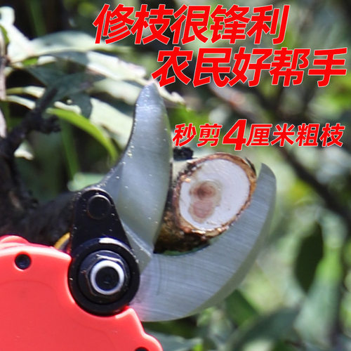电动修枝剪果树修枝剪充电强力锂电树枝剪园林园艺电剪省力粗枝剪