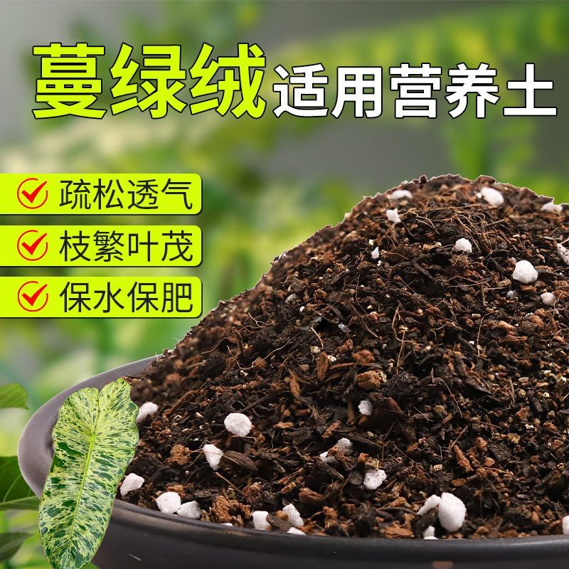 【蔓綠絨專用土】疏松透氣盆栽綠植專用室內(nèi)植物有機(jī)營(yíng)養(yǎng)土肥料