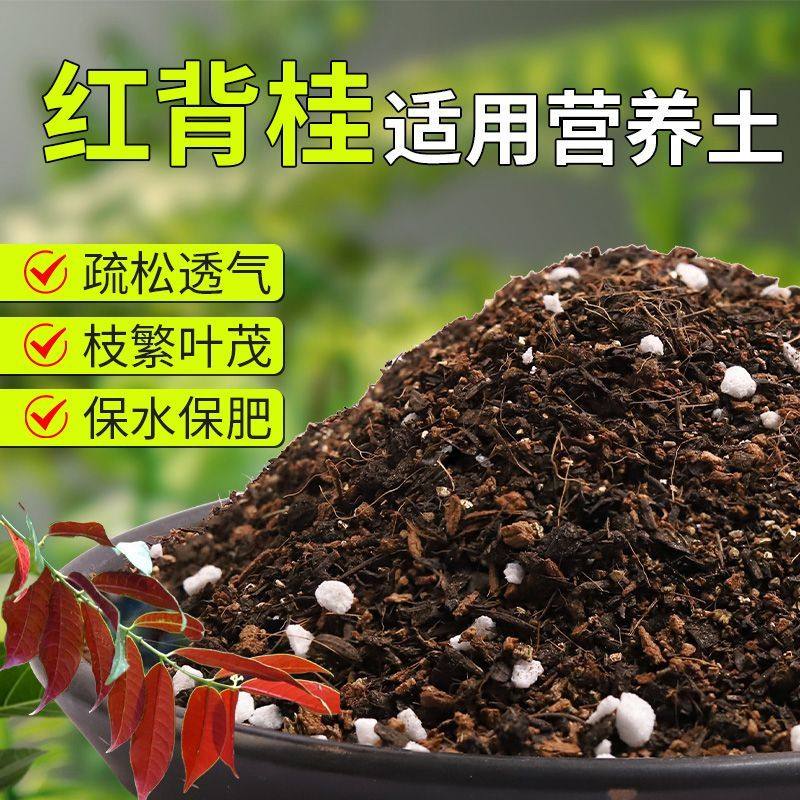【红背桂专用土】疏松透气盆栽绿植专用室内植物有机营养土肥料,鲜花速递/花卉仿真/绿植园艺,介质/营养土,淘宝优惠券,粉丝福利购,淘宝优惠卷