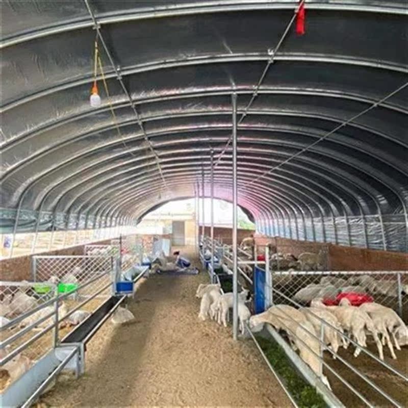 r牛搭建养鸡场圈大j棚户外保温鸡舍a棚架养殖k全套钢管骨x架猪鸭