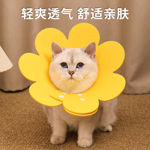 绝育项圈防舔除跳蚤伊丽莎白圈