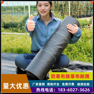 农用防草布除草布果园果树切片保湿 耐用园艺抗老化遮盖地布地丁