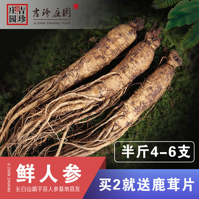长白山鲜人参新鲜带土人参非野生山参鲜林下参白参园参拍2发500g