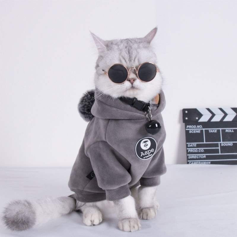 网红猫咪衣服公猫帅气新年衣服宠物保暖可爱宠物防掉毛幼猫四脚